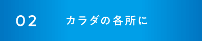 02ミネラル成分